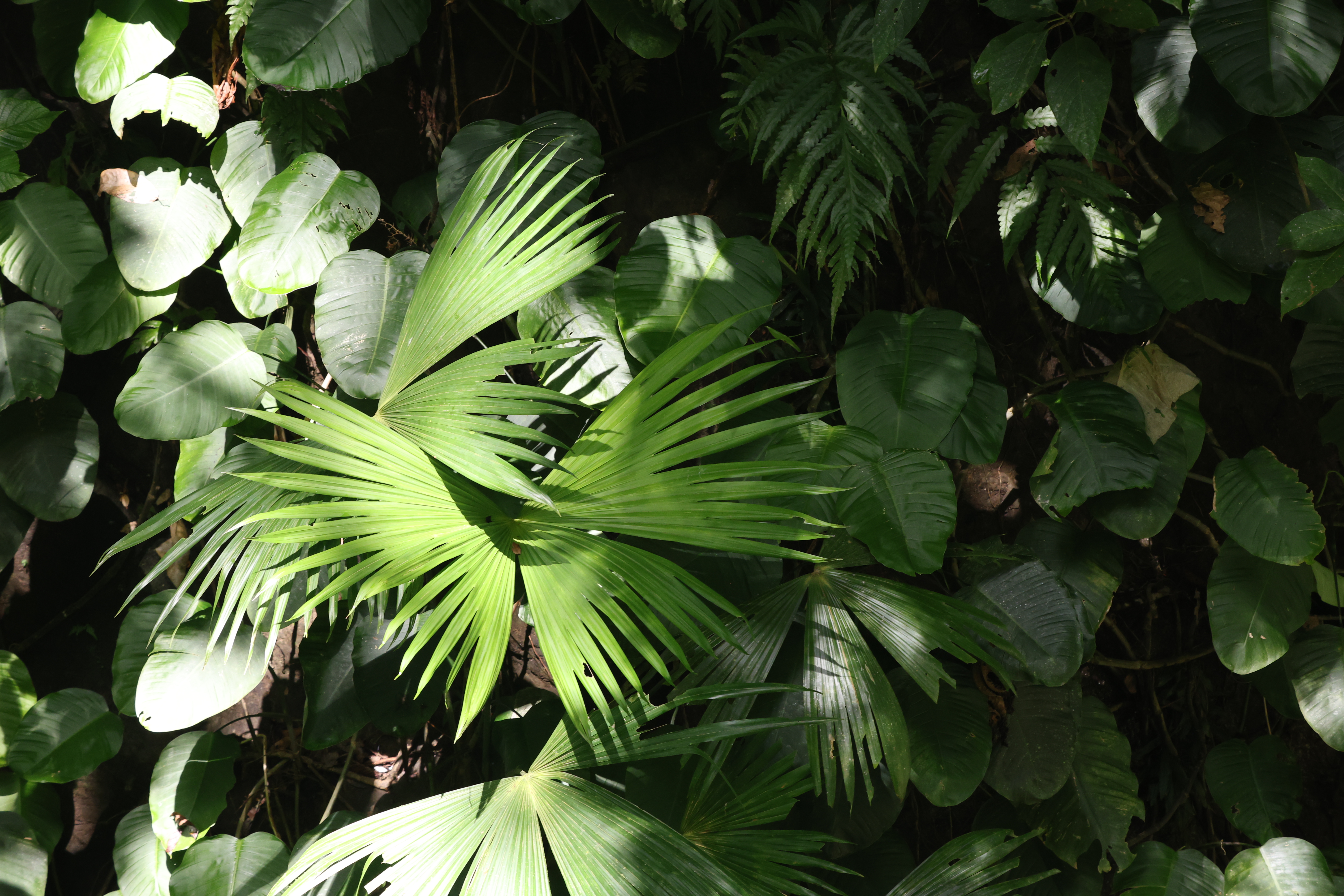 Upcoming Breathwork Events - Annalisa Fiorillo Upcoming Breathwork Events - Annalisa Fiorillo
